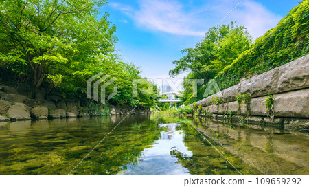 Cheonggyecheon Stream is a public modern recreation space, and a popular tourist destination When visiting Seoul. 109659292