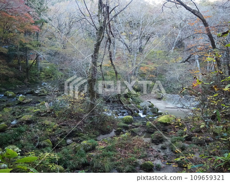 River with moss-covered rocks in Hananuki Valley River with moss-covered rocks in Hananuki Valley 109659321