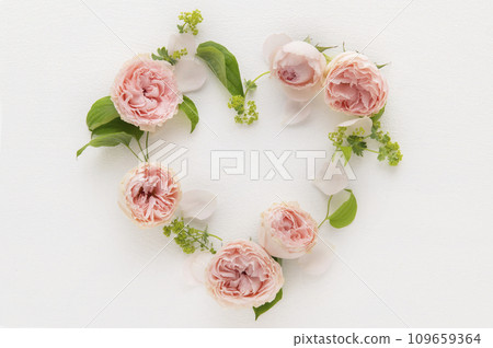pink rose heart shape pink rose heart shape 109659364