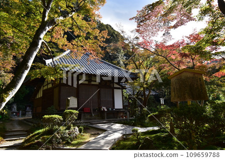 京都東山、青觀寺 京都東山、青觀寺 109659788