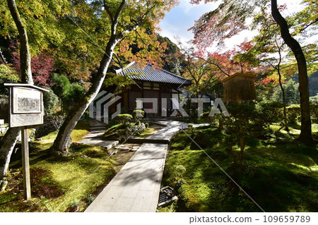 京都東山、青觀寺 京都東山、青觀寺 109659789