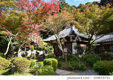 京都東山、青觀寺 京都東山、青觀寺 109659791
