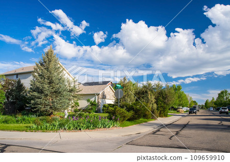 Residential area with beautiful fresh greenery Residential area with beautiful fresh greenery 109659910