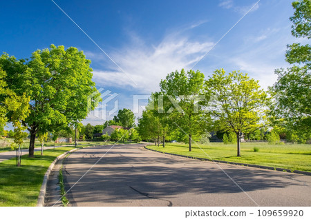 Residential area with beautiful fresh greenery Residential area with beautiful fresh greenery 109659920