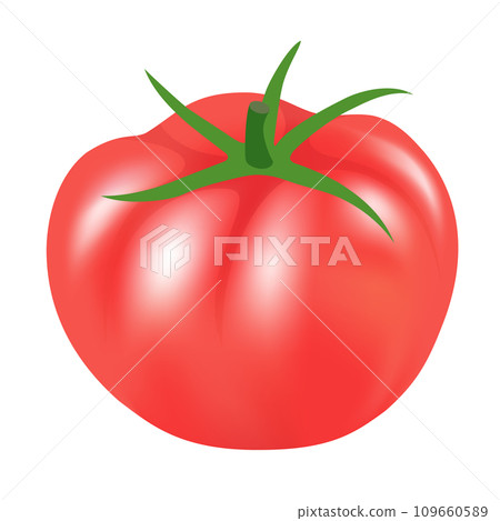 蕃茄 109660589