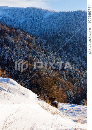 mountainous winter landscape. snow covered hill and forest in hoarfrost mountainous winter landscape. snow covered hill and forest in hoarfrost 109660724