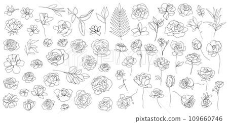 Vector set of one line art flowers, continuous monoline plants, roses, leaves, branches. Blossom logos, minimalist illustration. Simple sketch, black and white. Use as floral icons and logos. Vector set of one line art flowers, continuous monoline plants, roses, leaves, branches. Blossom logos, minimalist illustration. Simple sketch, black and white. Use as floral icons and logos. 109660746