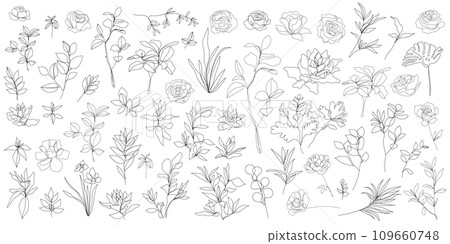 Vector set of one line art flowers, continuous monoline plants, roses, leaves, branches. Blossom logos, minimalist illustration. Simple sketch, black and white. Use as floral icons and logos. 109660748
