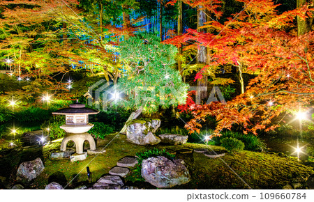 京都、近海光明寺紫雲庭園亮燈 京都、近海光明寺紫雲庭園亮燈 109660784
