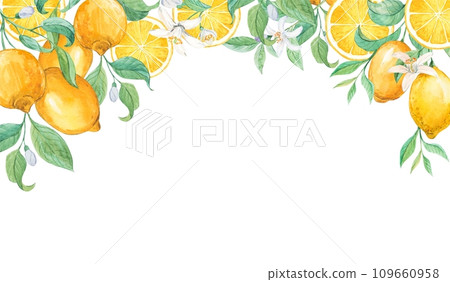 Lemon branches hang from above. Watercolor horizontal composition on a white background. Ripe exotic fruits in Provence style. Illustration for wedding invitation, Italian limoncello or lemonade label 109660958