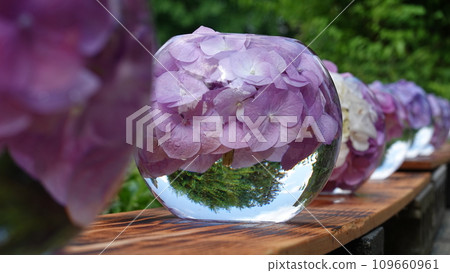 花和寺廟 109660961
