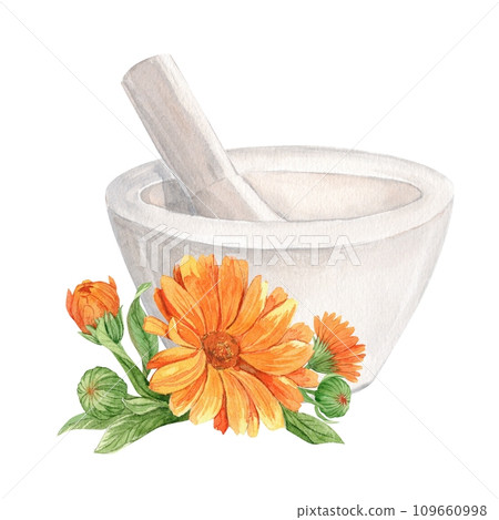 calendula flowers in mortar on white 109660998
