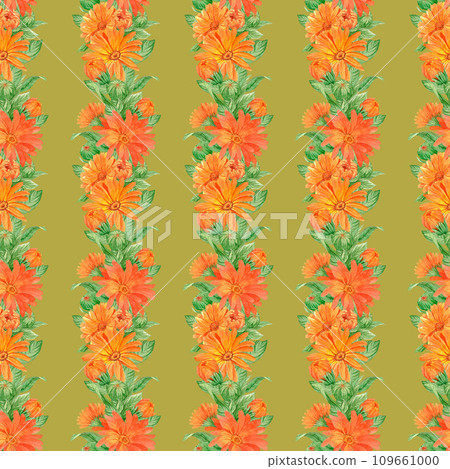 Calendula flowers on white, pattern 109661000