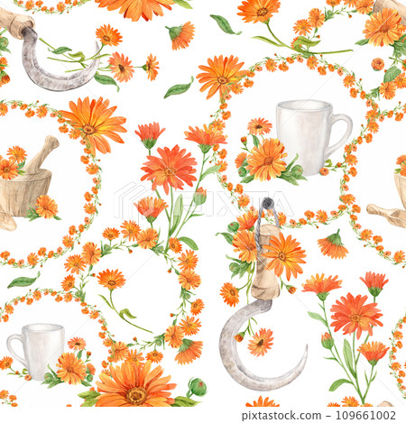 Calendula flowers on white, pattern 109661002
