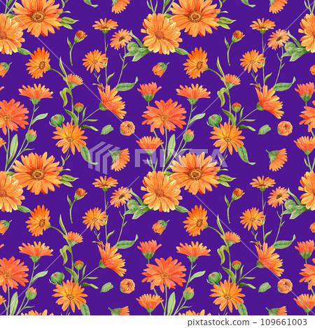 Calendula flowers on purple, pattern 109661003