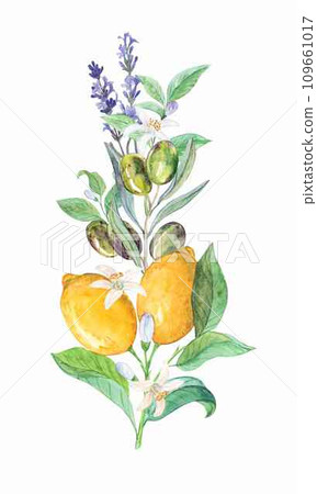 Lemon and olive branches on a white background Lemon and olive branches on a white background 109661017