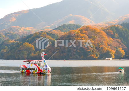 Sagamihara City, Kanagawa Prefecture, Lake Sagami with autumn leaves and a pleasure boat Sagamihara City, Kanagawa Prefecture, Lake Sagami with autumn leaves and a pleasure boat 109661327