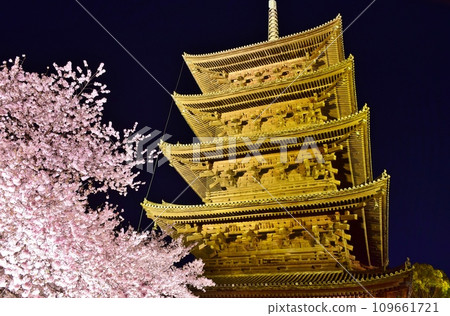 京都東寺的櫻花燈飾 109661721