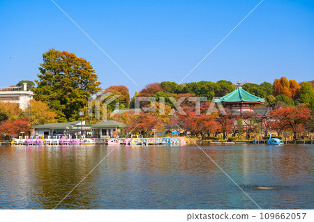 上野公園，秋葉的不忍池，東京 109662057