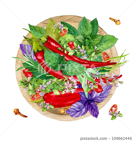Colorful herbs for cooking: basil, tarragon, thyme, chili, cloves, mint, bay leaf and rosemary. Watercolor illustration. Provence spices in a wooden plate, top view. 109662448