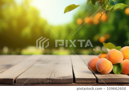Wooden table top with apricots on blur background with apricot orchard 109662608
