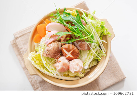 雞肉水餃火鍋的用料 雞肉水餃火鍋的用料 109662781