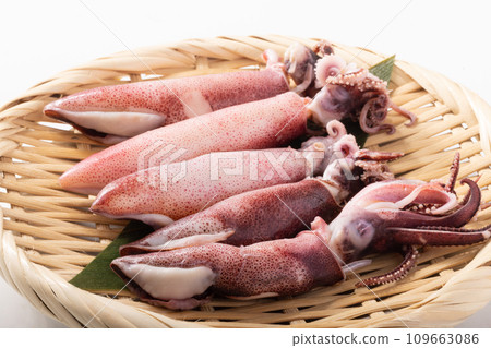 (美國品) 水煮魷魚 (美國品) 水煮魷魚 109663086