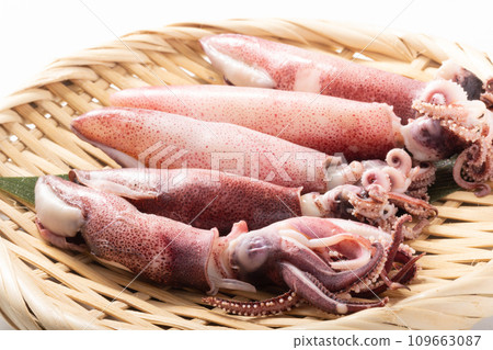 (美國品) 水煮魷魚 (美國品) 水煮魷魚 109663087