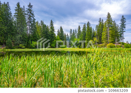 Vrbicke glacial lake and the largest natural lake in Low Tatras, Slovakia Vrbicke glacial lake and the largest natural lake in Low Tatras, Slovakia 109663209