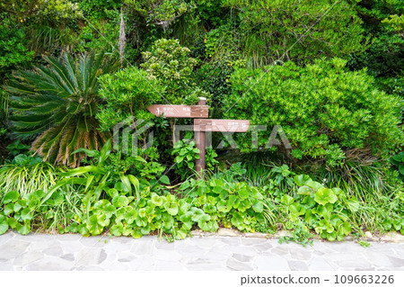 Many signposts in Satamisaki Park 109663226