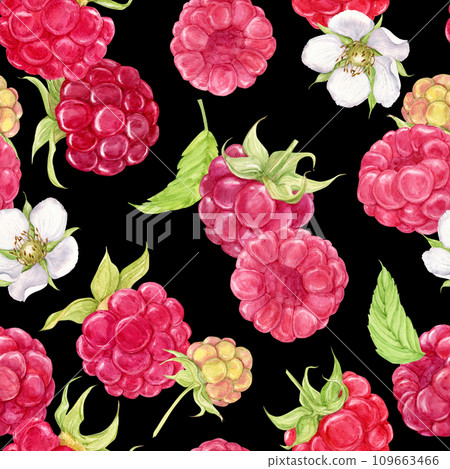 Watercolor raspberries on a black background. Seamless background with summer red berries. Illustration for spring cover, textile, background, wedding invitation. Red berries, flowers, leaves. 109663466
