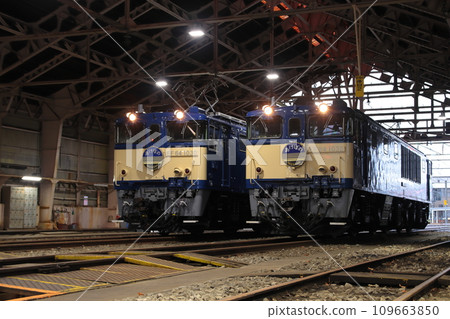EF64 electric locomotives standing in a retro depot_Photographed on November 25, 2023 109663850