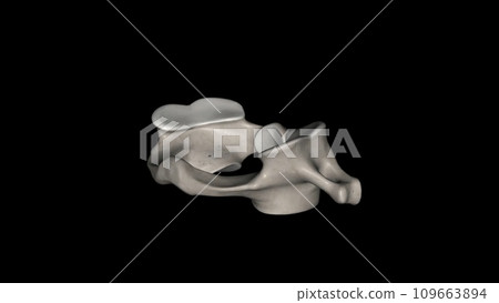 The atlas (plural: atlases) is the first cervical vertebra, commonly called C1 109663894