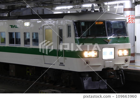 185系新幹線接力彩色停泊在上野站地平線月台 109663960