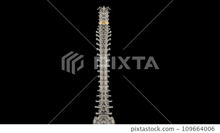 C5 provides sensation to the upper part of your upper arm down to your elbow C5 provides sensation to the upper part of your upper arm down to your elbow 109664006