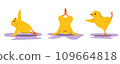Cute Chicken Yoga Cartoon Vector Icons Illustration. Flat Cartoon Concept. 109664818