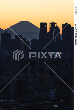 新宿副中心的夜景 109664968