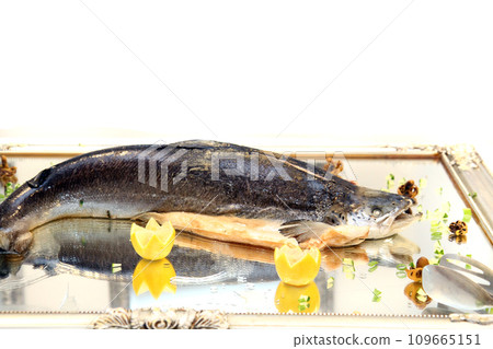 whole baked salmon 109665151