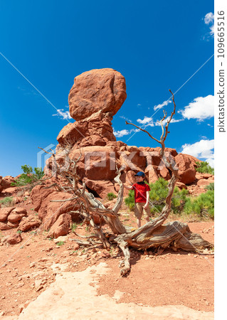 Balanced Rock in Arches National Park in Utah Balanced Rock in Arches National Park in Utah 109665516