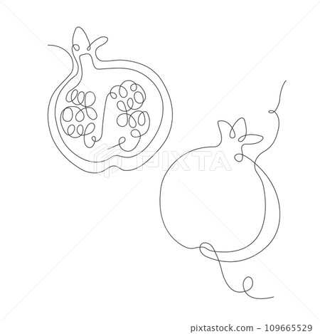 Pomegranate in continuous line art drawing style. Pomegranate minimalist black linear sketch isolated on white background. Vector illustration 109665529