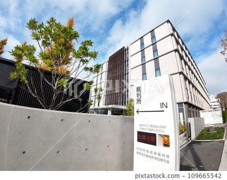 court court 109665542