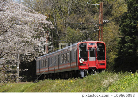 Nankai Series 2300 Nankai Series 2300 109666098