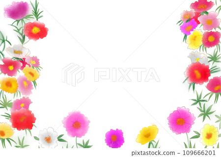 Matsuba peony flower card 2 109666201