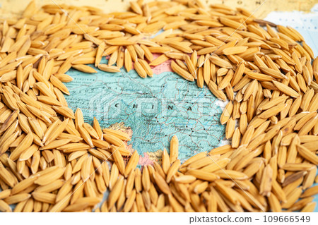 Bangkok, Thailand May 14, 2023 Brown rice paddy seeds on China map, rice export ban trigger a global food crisis concept. 109666549