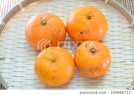 4 substandard mandarin oranges with scratches Bamboo colander 109666712