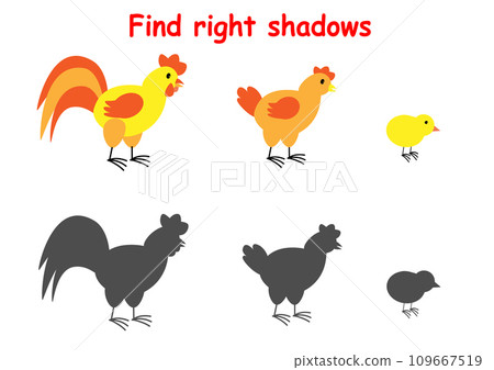 Shadow matching activity for preschoolers. Rooster, hen, chick. Puzzle find the printable sheet with the correct silhouette. 109667519