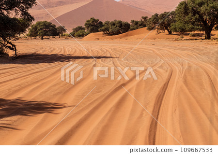 Desert landscape near Sossusvlei Desert landscape near Sossusvlei 109667533
