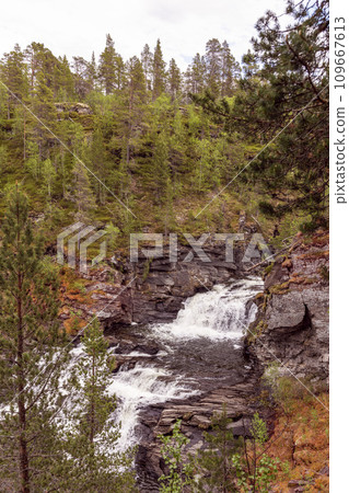 Vertical photo of autumn cascades, granite cliffs, and forest by Orkla River, Stoa Innlandet, Norway Vertical photo of autumn cascades, granite cliffs, and forest by Orkla River, Stoa Innlandet, Norway 109667613