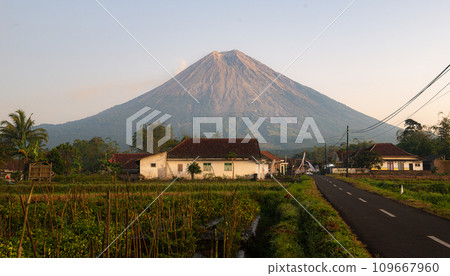 Mount Semeru, Indonesia 109667960