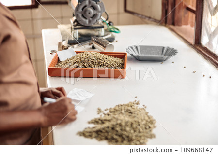 African American woman taking notes and sorting coffee beans African American woman taking notes and sorting coffee beans 109668147